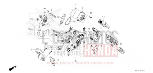 FAISCEAU DES FILS CRF450RXM de 2021